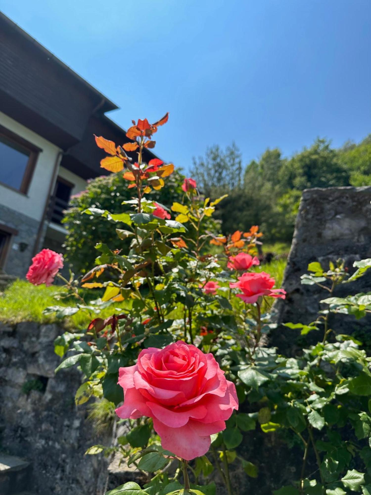 Villa D'Alba Guest House Civenna Exteriér fotografie